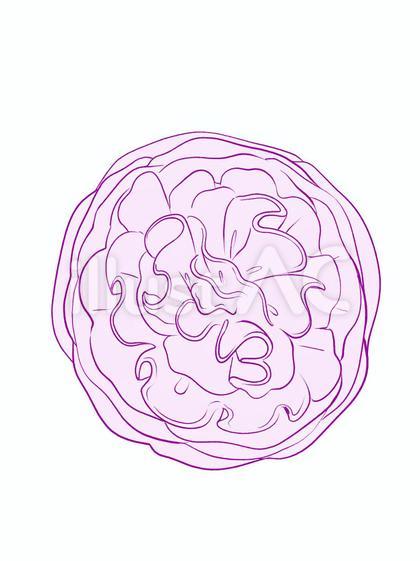 お花紙_単品