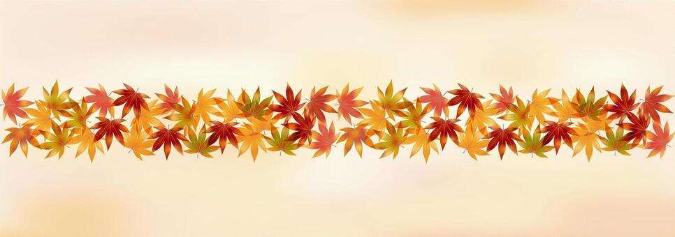 Illustration, autumn leaves, maple, momiji, 