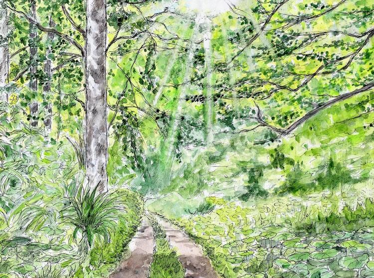 森の中の小道 風景画,風景,水彩画のイラスト素材