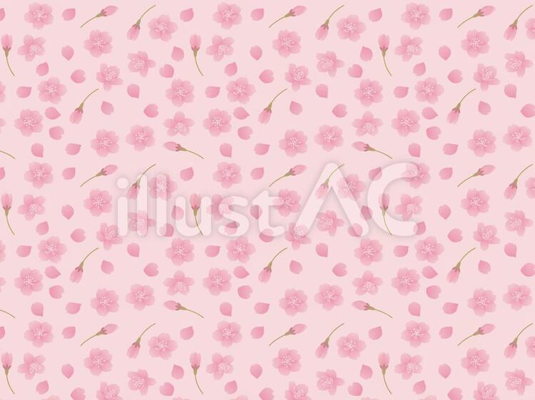 桜模様（ピンク背景３） 桜,花,花びらのイラスト素材