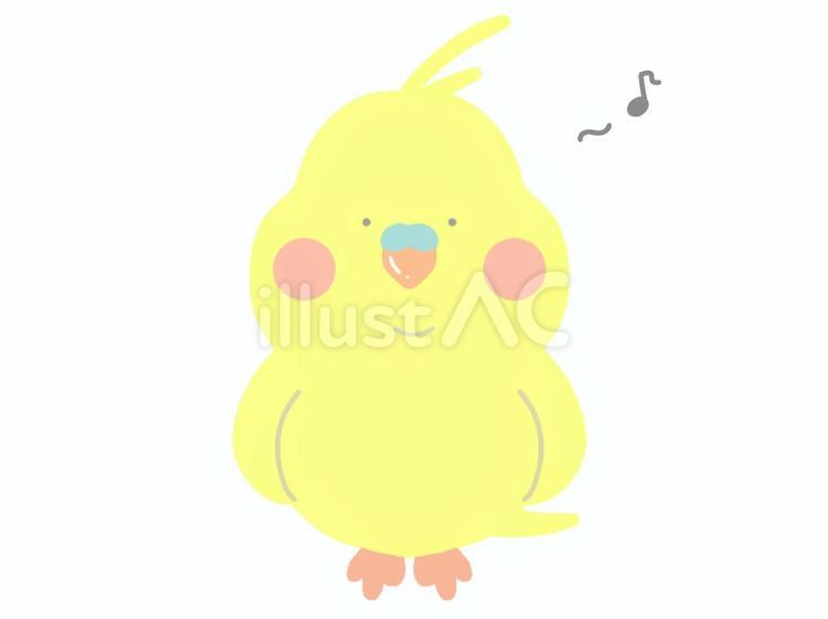 ほんわかゆるいかわいいインコ インコ,オカメインコ,鳥のイラスト素材