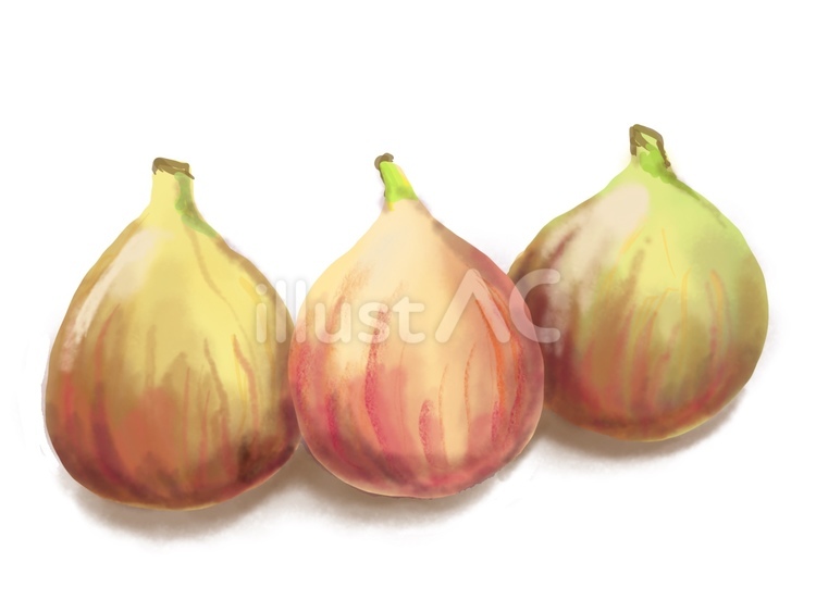 いちじく いちじく,果物,デザートのイラスト素材