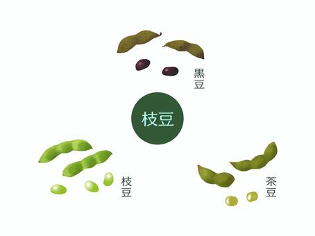 枝豆セット（枝豆、茶豆、黒豆）野菜名入り 枝豆,夏野菜,茶豆,黒豆,6月,7月,8月,9月,野菜,豆のイラスト素材