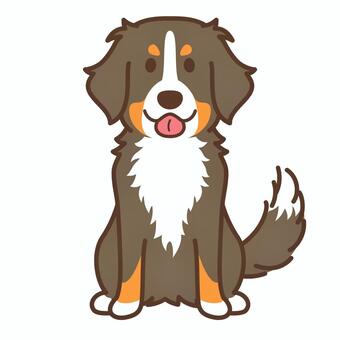 バーニーズマウンテン 犬,バーニーズマウンテン,ペット,かわいい,大型犬,犬種,ワンポイント,ポップ,動物,ペットショップのイラスト素材