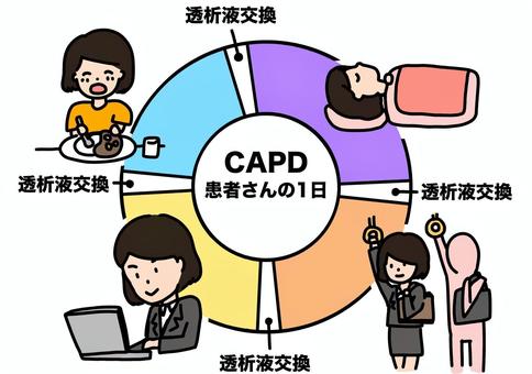 CAPDの患者の1日　女性カラー capd,患者,女性,腹膜透析,睡眠,仕事,サイクル,カラーのイラスト素材