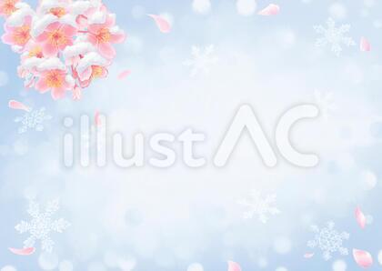 雪と桜