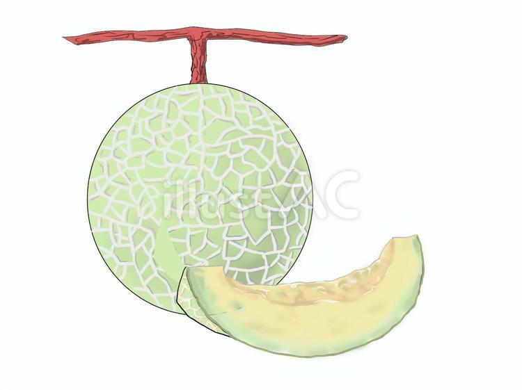 メロンの気持ち メロン,果物,スィーツのイラスト素材