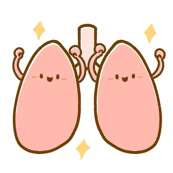 かわいい臓器•元気な肺 肺,臓器,体内,医療,内臓,キャラ,キャラクター,シンプル,かわいい,ゆるいのイラスト素材
