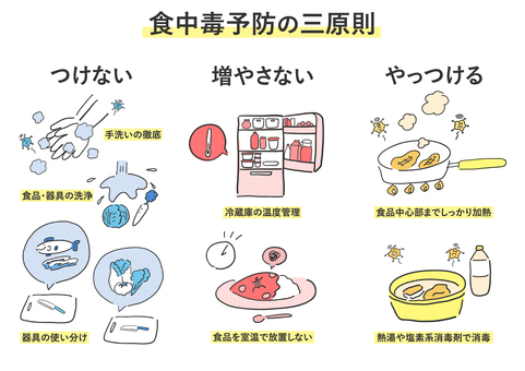 食中毒予防の三原則＿線画部分カラー 食中毒,予防,原則,つけない,増やさない,やっつける,菌,ウイルス,手洗い,洗浄のイラスト素材