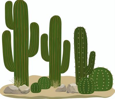 砂漠のサボテン サボテン,柱,棒,丸,観葉,多肉,植物,カクタス,ボタニカル,とげのイラスト素材