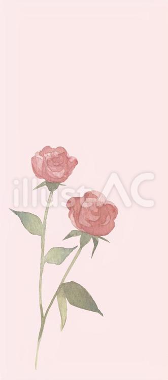 一筆箋　儚い薔薇２ 薔薇,花,植物のイラスト素材