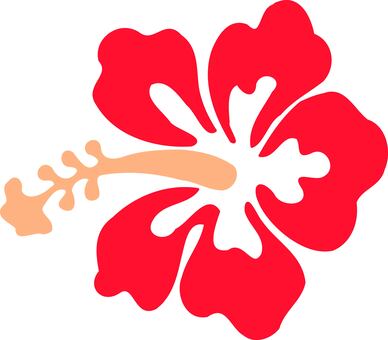 ハイビスカス ハイビスカス,沖縄,ハワイ,南,トロピカル,リゾート,南国,バカンス,グァム,ハワイアンのイラスト素材
