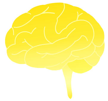 脳みそ・シルエット・黄色・グラデ 脳みそ,シルエット,グラデーション,手描き,脳,大脳,大脳新皮質,小脳,臓器,内臓のイラスト素材