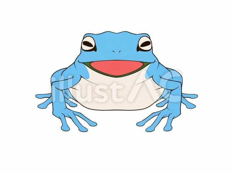 アオガエル カエル,動物,両生類のイラスト素材