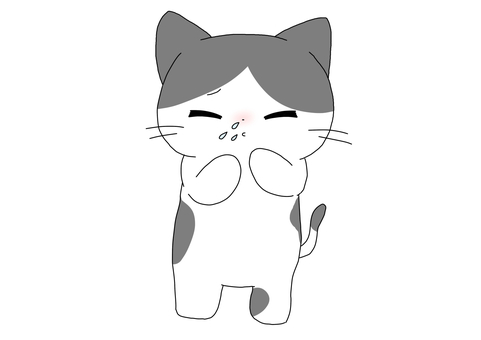 cat sneezing, cat sneezing, mùa đông, con mèo, nhảy mũi,