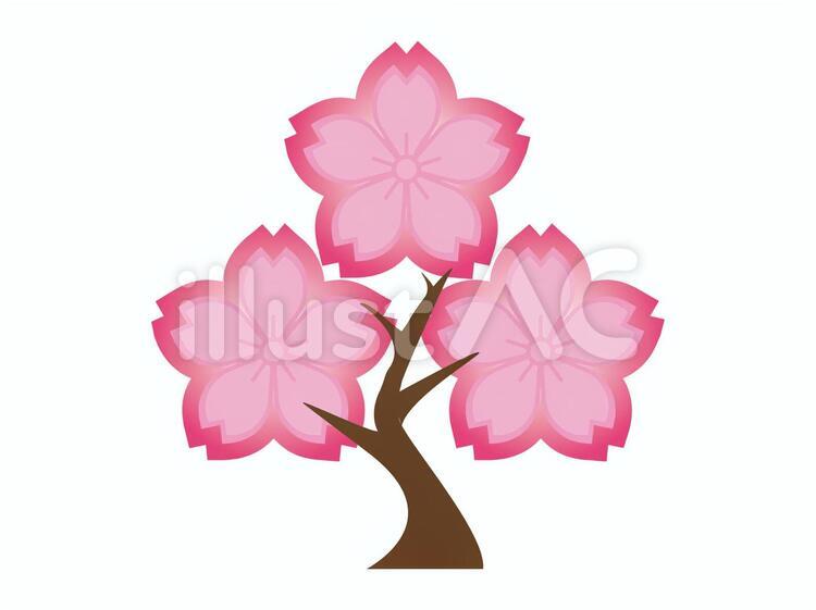 サクラの木a さくら,開花,花びらのイラスト素材