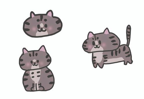 猫（アメリカンショートヘアー） 猫,ペット,スタンプ用,カワイイ,動物のイラスト素材