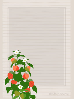 7月の花ホオズキ 花,フラワー,ホオズキ,ボタニカル,植物,フレーム,枠,メッセージカード,グリーティングカード,夏のイラスト素材