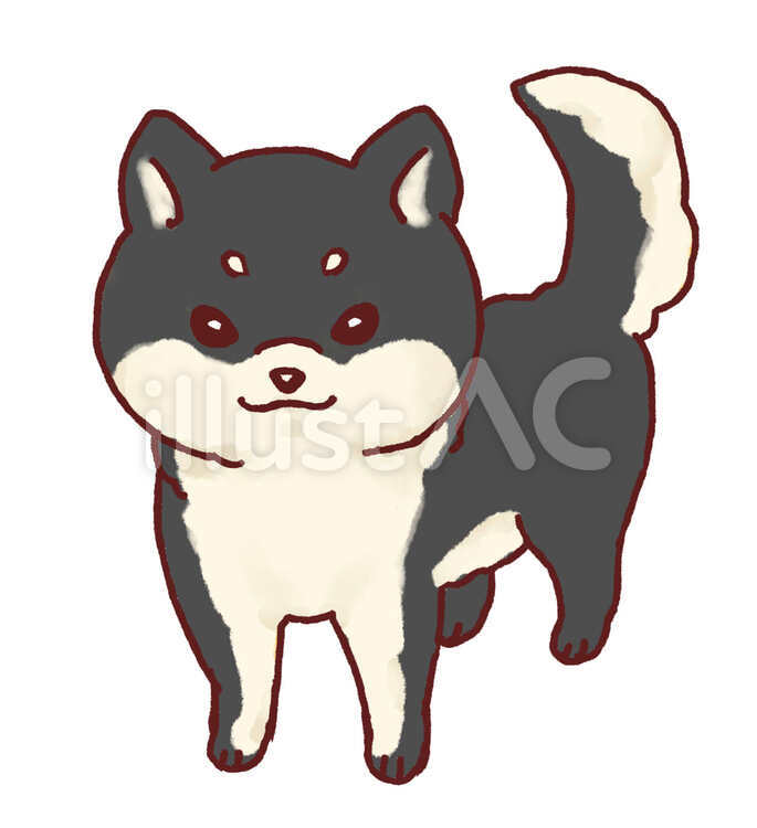 柴犬（黒色） 犬,柴犬,かわいいのイラスト素材