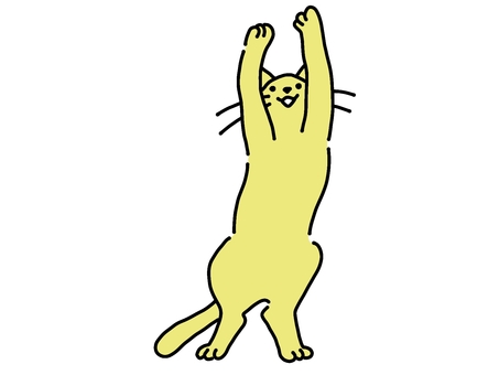 遊ぶねこちゃん（黄色） 遊ぶ,立ち上がる,立つ,猫,ねこ,ネコ,ペット,動物,黄色,シンプルのイラスト素材