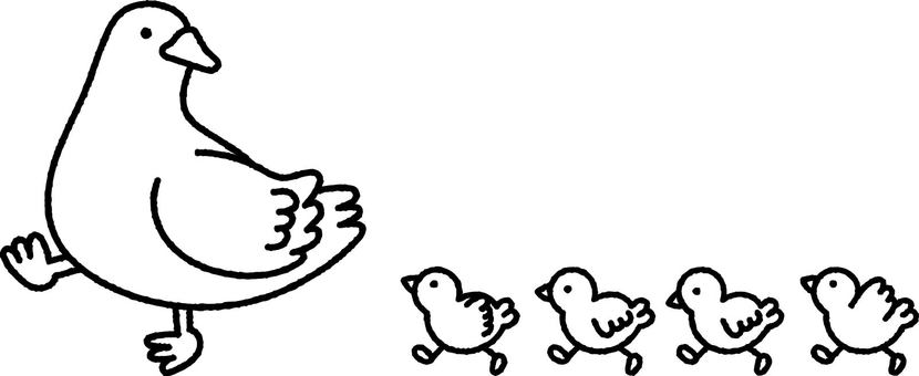 並んで歩くアヒルとヒナモノクロ アヒル,ヒナ,鳥,かわいい,親子,イラスト,挿絵,ワンポイント,子供,並ぶのイラスト素材