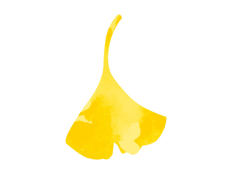 Ginkgo leaves (watercolor style), JPG, PNG and AI Ginkgo leaves (watercolor style), , JPG, PNG and AI