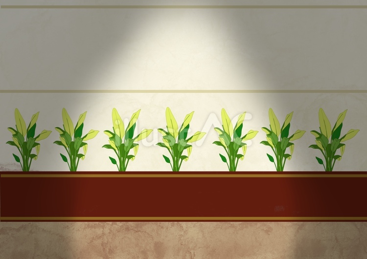 スポットライトのあたった植栽の壁面 植栽,ライト,ライティングのイラスト素材