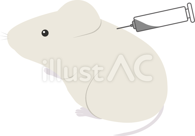 マウス　実験　注射 マウス,実験,動物実験のイラスト素材
