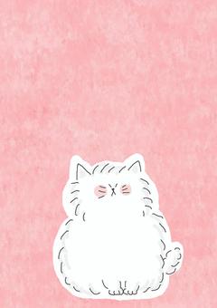 ふわふわねこちゃん かわいい,座る,ねこ,どうぶつ,いきもの,ペット,ふわふわ,もこもこ,白,白いのイラスト素材