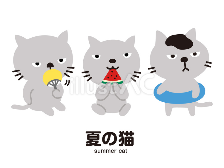 夏の猫 猫,子猫,仔猫のイラスト素材