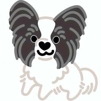 ハート鼻のパピヨン（立つ）3 パピヨン,犬,動物,ハート,鼻,立つ,シンプル,かわいい,キュート,デフォルメのイラスト素材