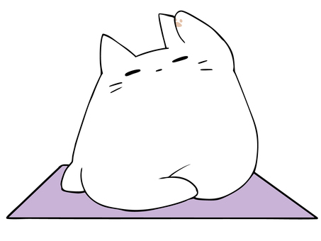 ヨガ ねこ 1 ねこ,白猫,ヨガ,マット,体操,健康,ダイエット,エクササイズ,ポーズ,肉球のイラスト素材