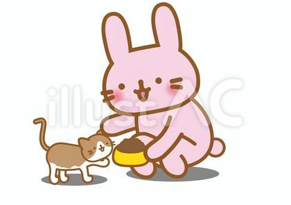 猫に餌をあげるうさぎ