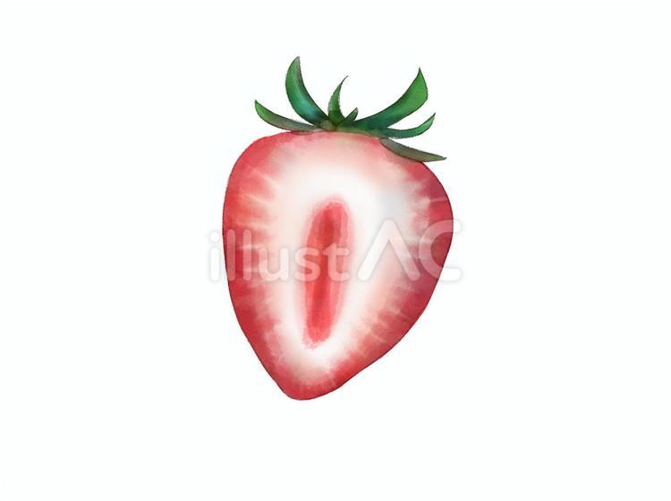 水彩画風半分に切ったイチゴのイラスト イチゴ,冬,果物のイラスト素材