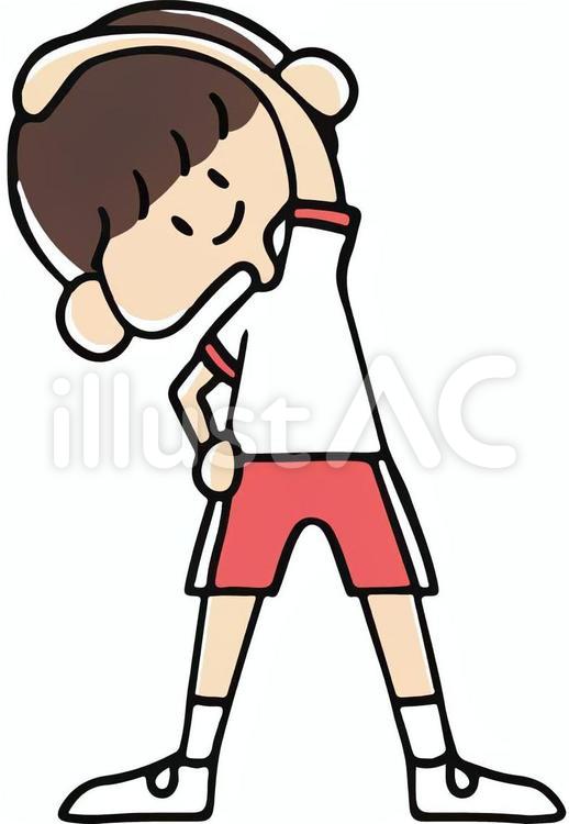 体操する男の子 体操,準備運動,運動のイラスト素材