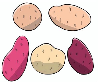 いものイラスト じゃがいも,サツマイモ,男爵イモ,メークイン,野菜,芋類,球茎類,畑,農業,食べ物のイラスト素材