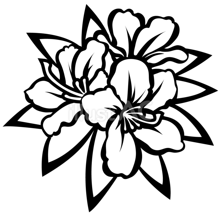【切り絵図案】ツツジ ツツジ,花,植物のイラスト素材