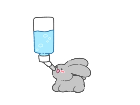 水を飲む灰色うさぎ うさぎ,灰色,グレー,水,飲む,給水,給水器,水分,水分補給,動物のイラスト素材