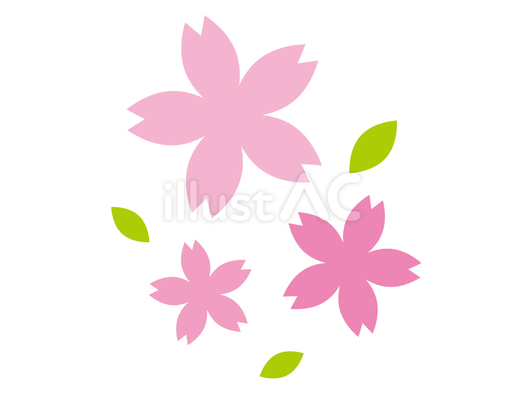 桜の飾り 桜,春,花びらのイラスト素材
