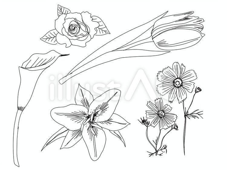 手書きの花々各種 花,花々,葉のイラスト素材