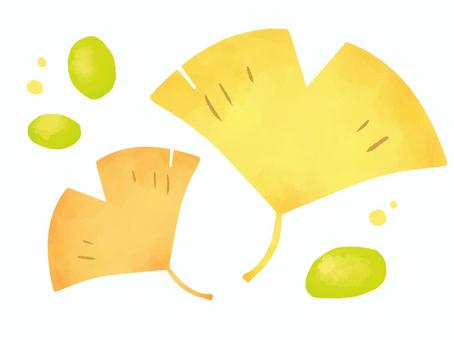 【水彩風手描き】イチョウの葉とぎんなん イチョウ,イチョウの葉,銀杏,秋,落ち葉,秋の味覚,紅葉,ワンポイント,水彩風,手描きのイラスト素材