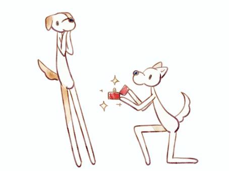 プロポーズ犬 犬,可愛い,プロポーズ,指輪,ひざまずく,驚く,キラキラ,水彩風のイラスト素材