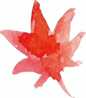 水彩の紅葉5 もみじ,紅葉,モミジ,楓,植物,落ち葉,葉,秋,水彩,手描きのイラスト素材