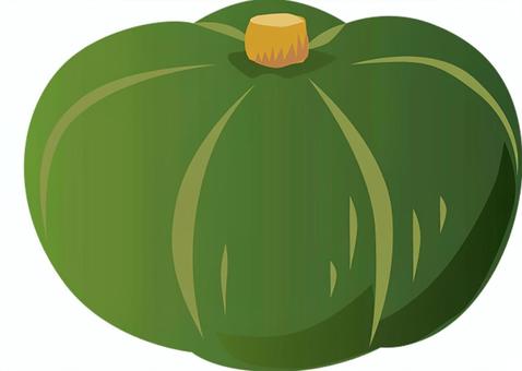 野菜_緑のかぼちゃ