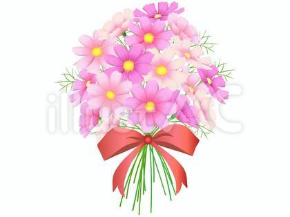 コスモスの花束のイラスト