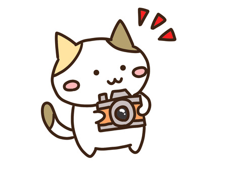 カメラで写真撮影するかわいい三毛猫 カメラ,写真,撮影,ねこ,動物,かわいい,手書き,ゆるい,シンプル,デフォルメのイラスト素材