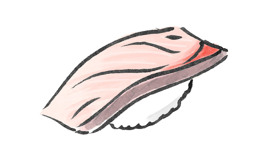 ハマチの握りのイラスト 寿司,ハマチ,握り,魚,生もの,日本,伝統,食文化,お寿司,食事のイラスト素材
