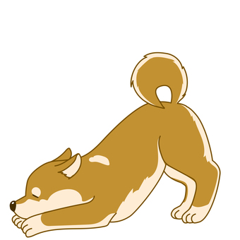 かわいい柴犬のシンプルイラストお腹が痛い 犬,ペット,柴犬,手描き,横向,嬉しい,かわいい,アクション,アニマル,挿絵のイラスト素材