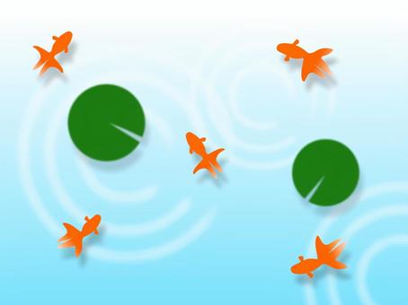 Illustration, JPG Illustration, goldfish, ripple, water, JPG