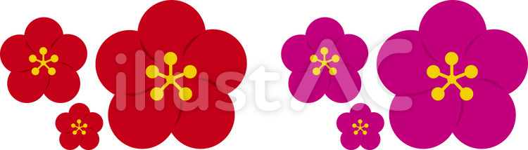 梅の花 梅,花,春のイラスト素材